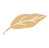 Abaita logo