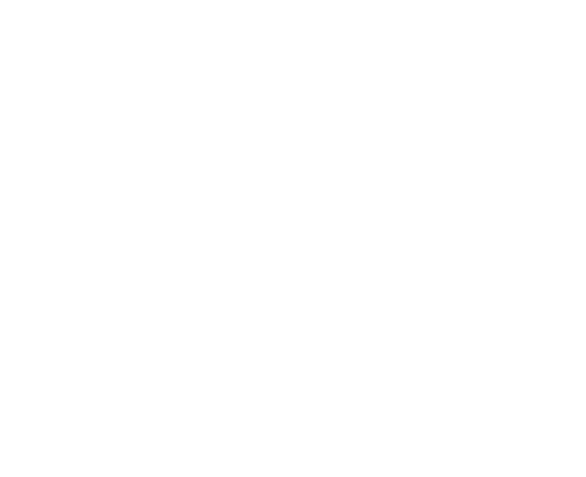 Art of Prime logo