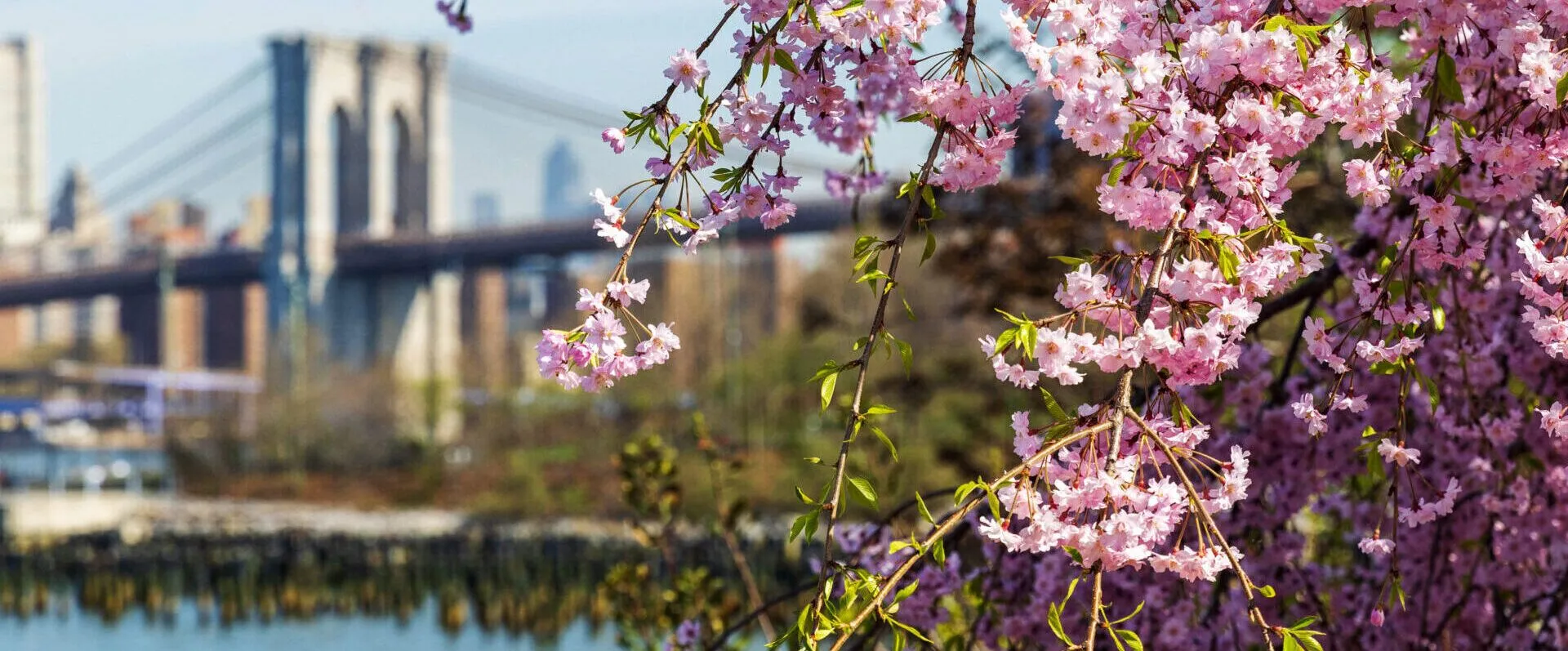 Brooklyn Bridge Park photo 1